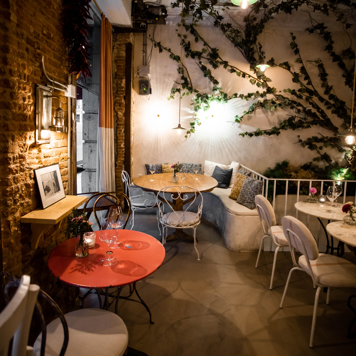 Vinology Conde de Aranda