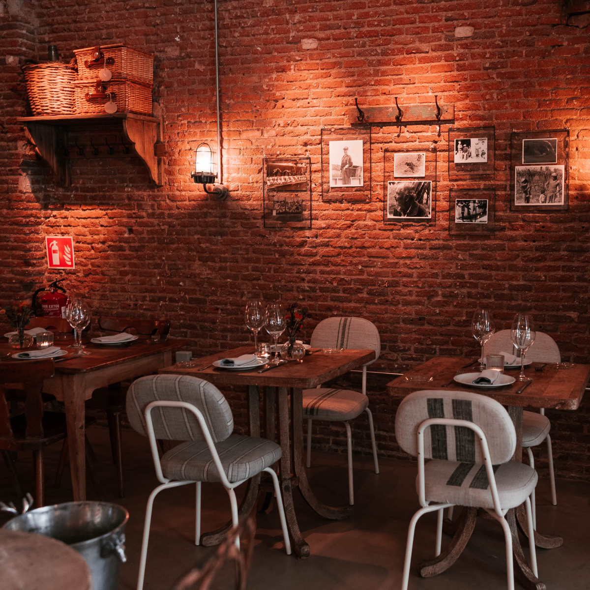 Vinology Conde de Aranda