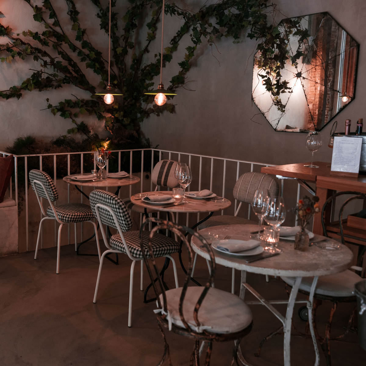 Vinology Conde de Aranda